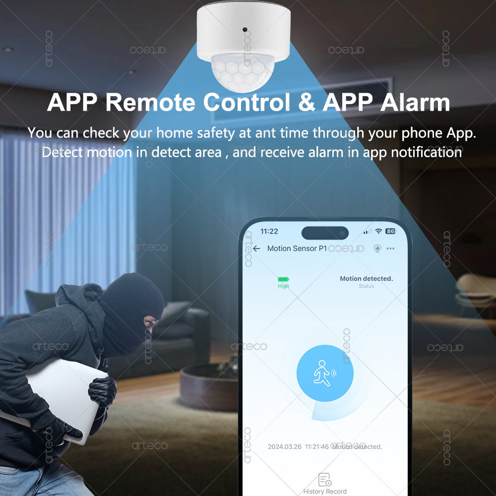 Ewelink Zigbee PIR Motion Sens - Pir Motion Sensor 评论和价格