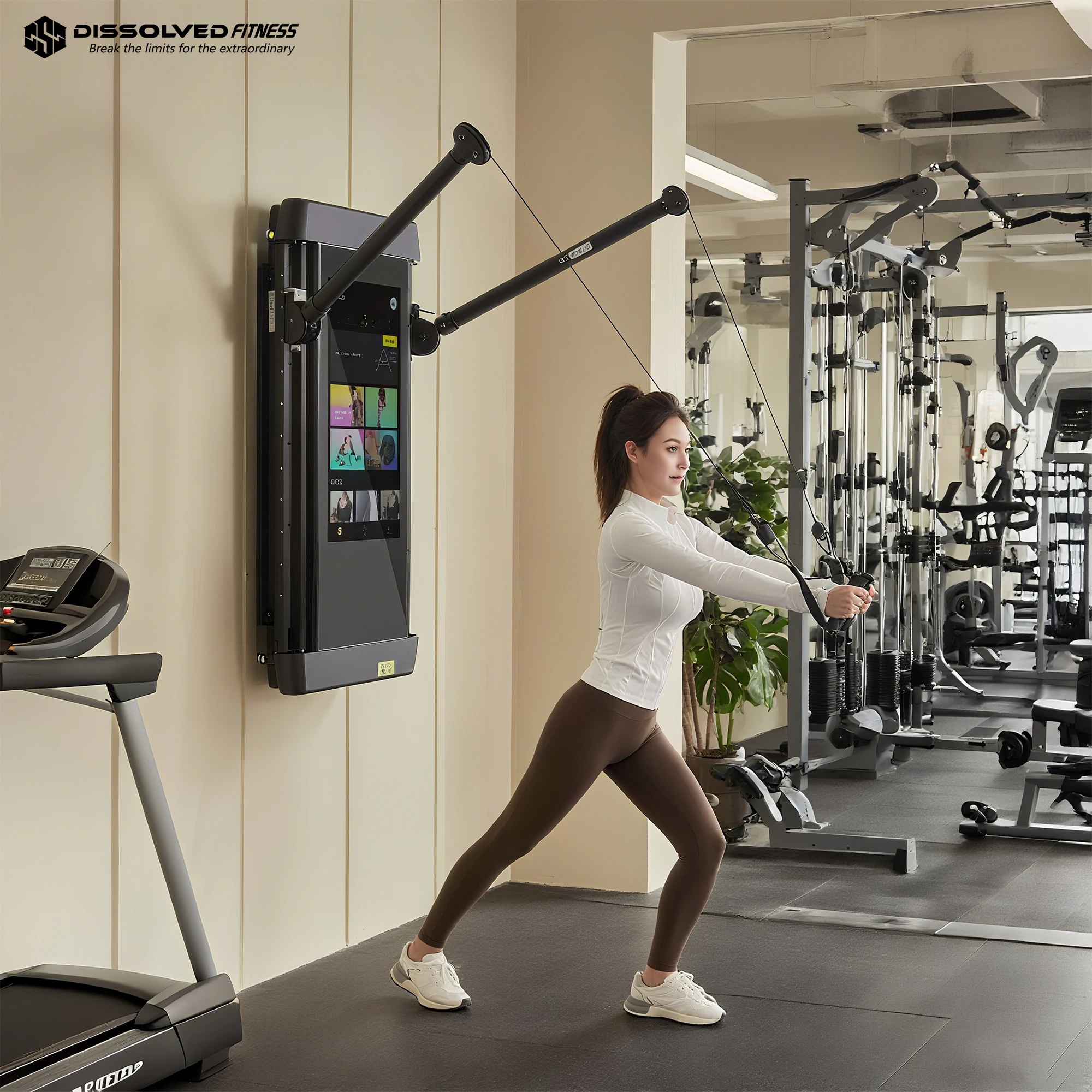 Smart AI LCD Training Mirror W - Smart Home Wifi 评论和价格