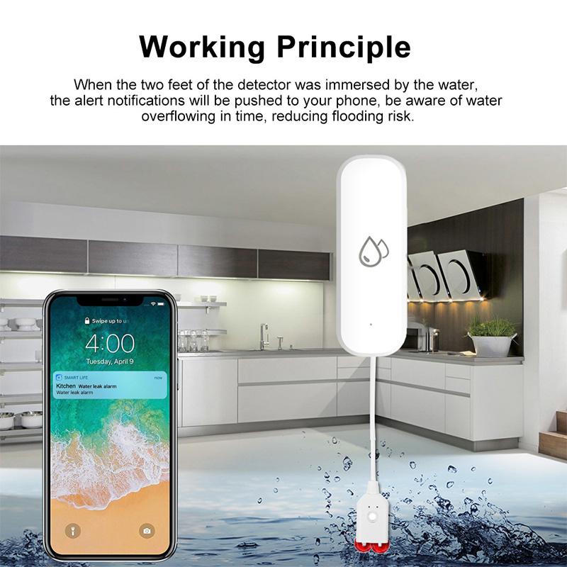 Tuya WiFi Water Leakage Alarm  - Smart Home Project 评论和价格